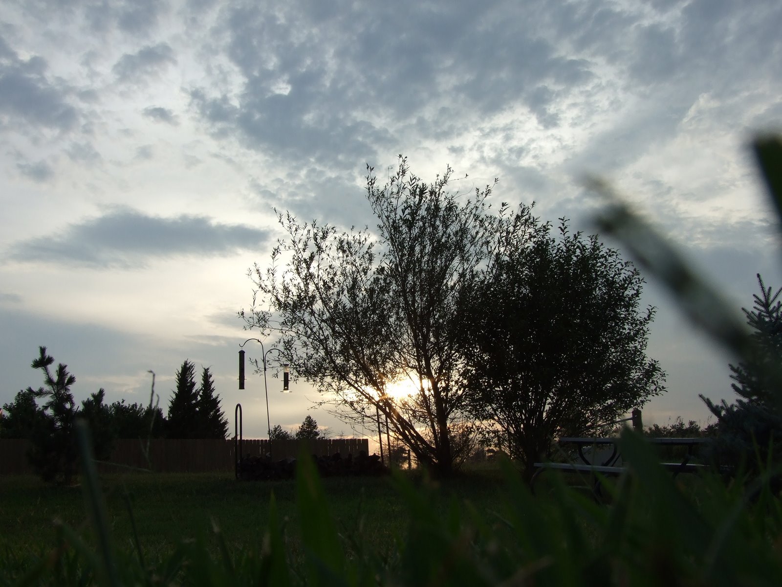 [Backyard+sunset+3.jpg]