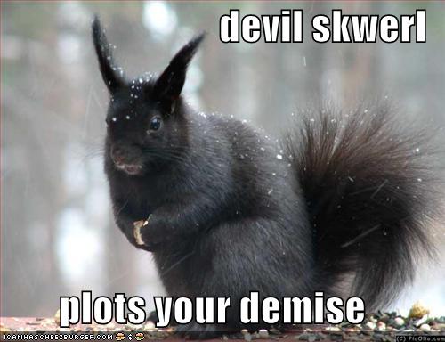 [funny-pictures-evil-black-squirrel.jpg]