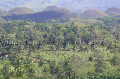 Philippine Tourist Spot Bohol Escaped Special Sights