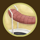 [Banana-Seat.jpg]