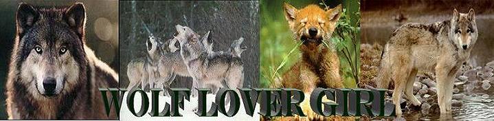 Wolf Lover Girl