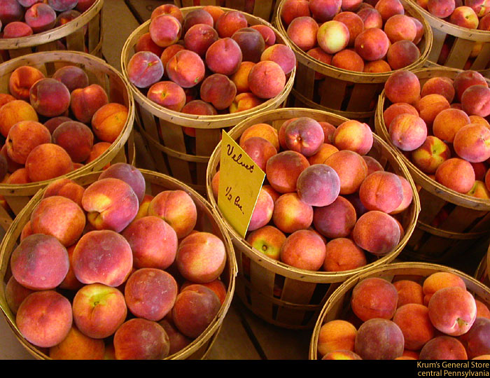 [PA-peaches.jpg]