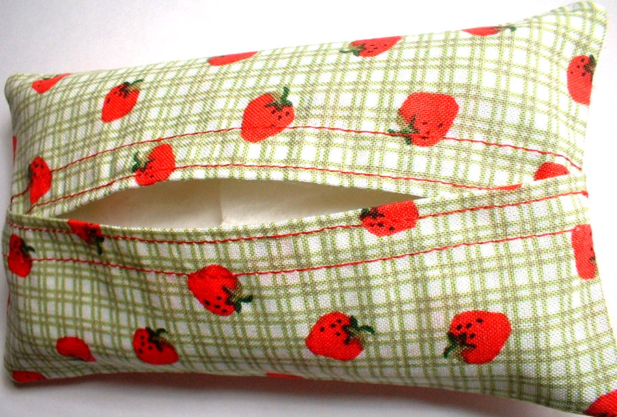 [strawberries+tissue+cozy.jpg]