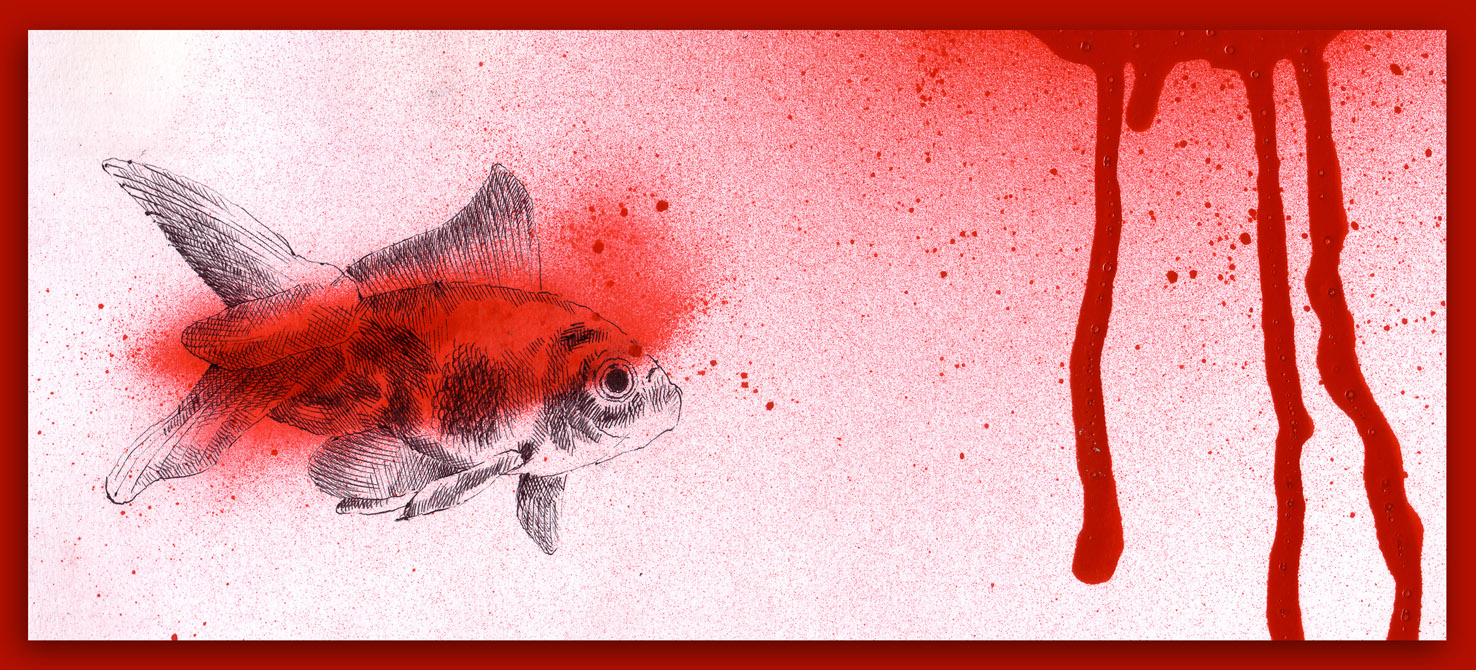 [poisson+rouge.jpg]
