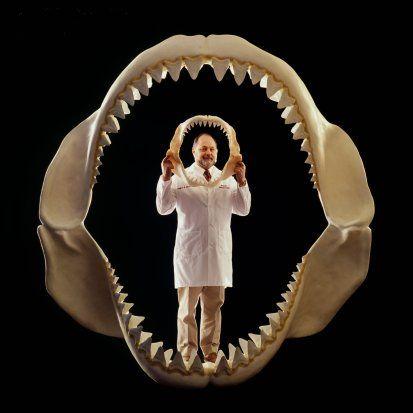 [dientes-tiburones2.jpg]