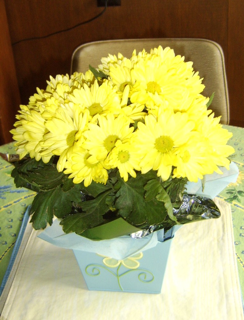 [yellow+flowers+good.JPG]