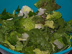 [small+salad.jpg]
