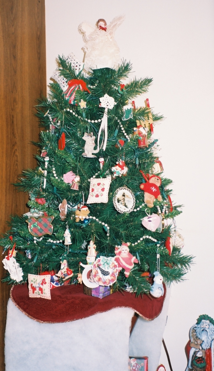 [My_tree_Dec2007-3.JPG]