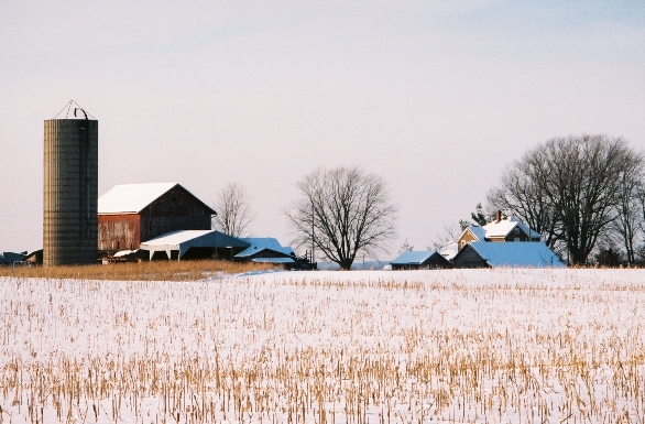 [Farm_in_Winter2007-2.JPG]
