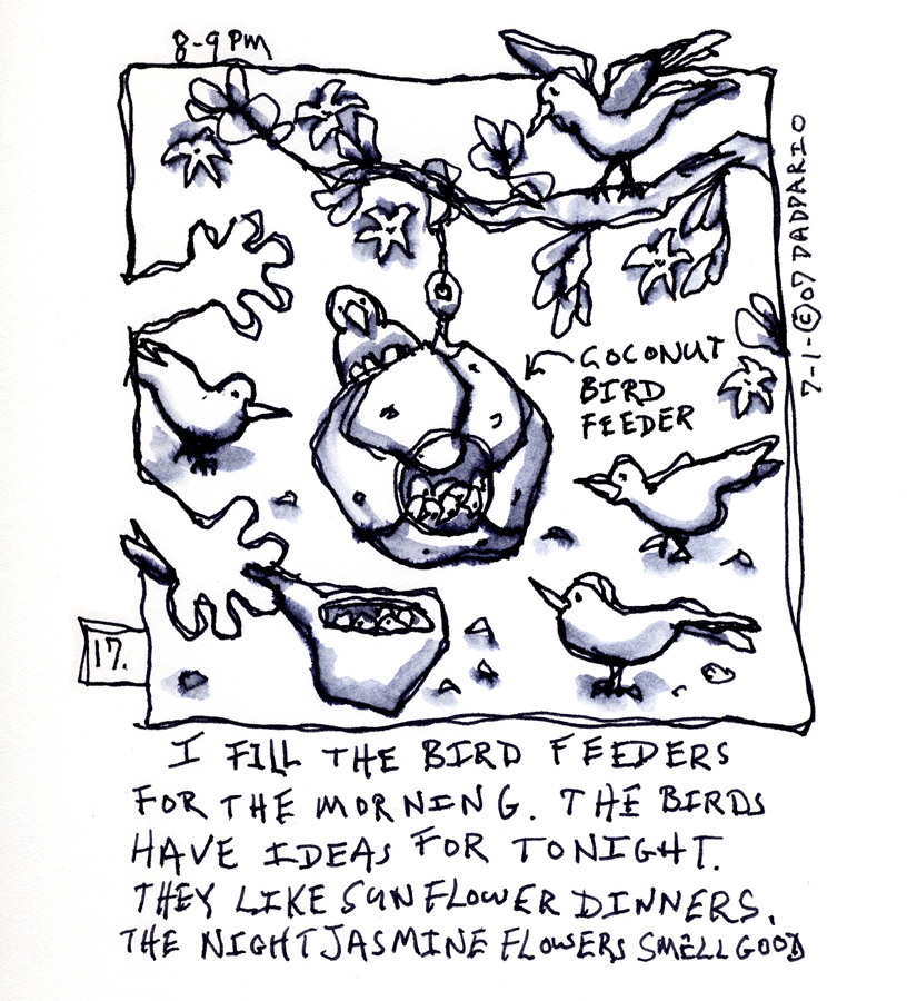 [17+©07+jul+1+feeding+birds+small.jpg]