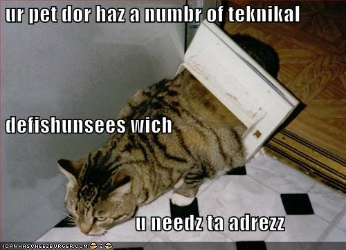 [funny-pictures-pet-door-stuck-on-cat.jpg]