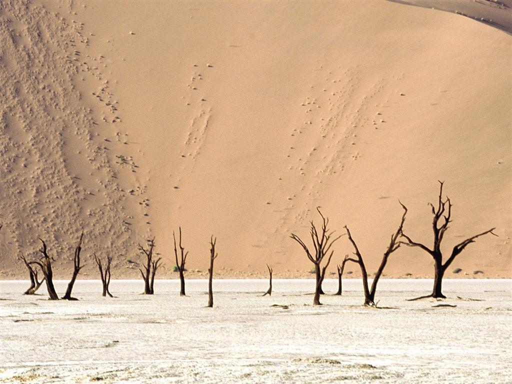 [2007021403191403_Dead Ulei, Namib Desert, Namibia, Africa - 1600x.jpg]