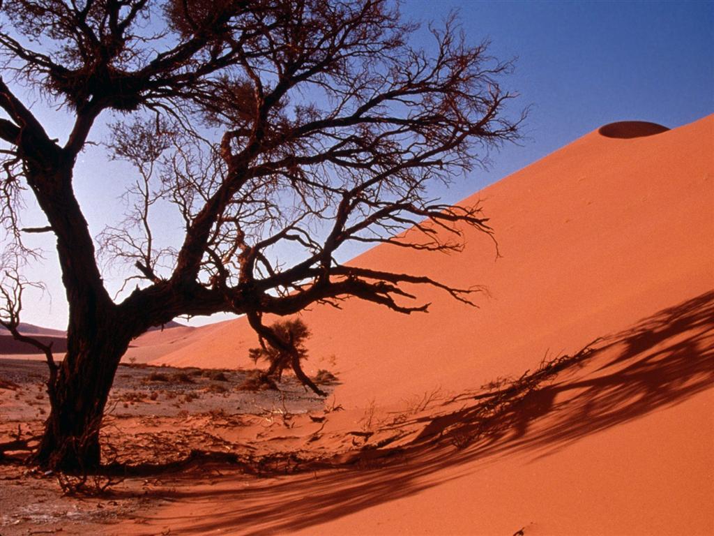[2007021403193519_Sand Dunes, Central Africa - 1600x1200 - ID 2490.jpg]