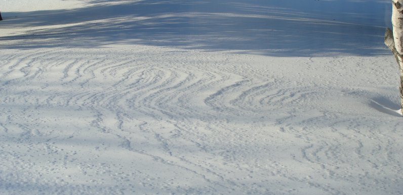 Snow contours