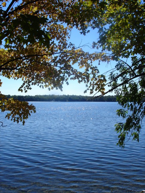 Lake Consecon
