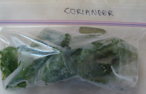 Frozen coriander cubes