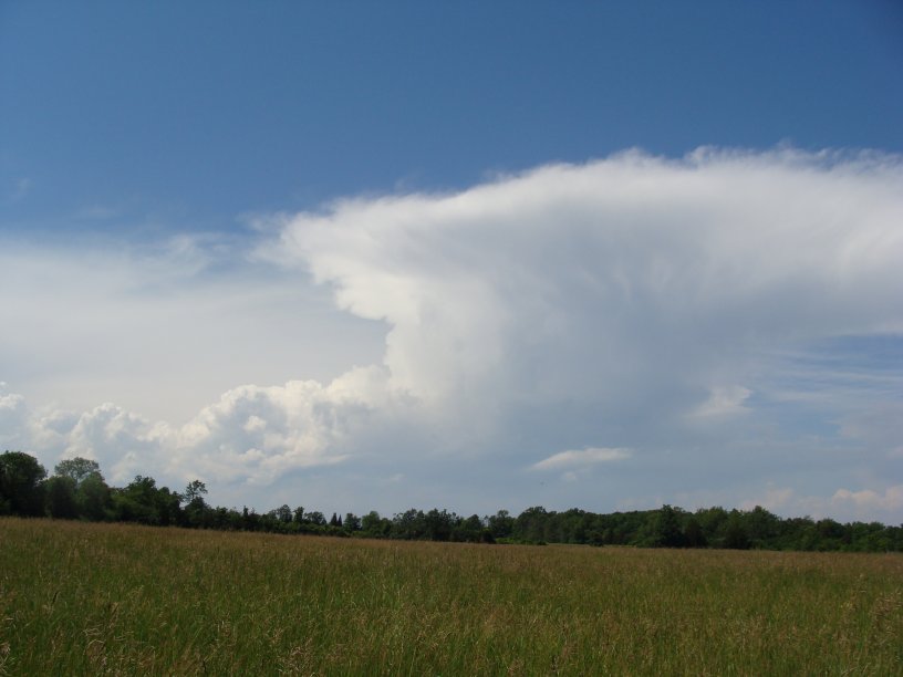 Thunder-head cloud over the hayfield