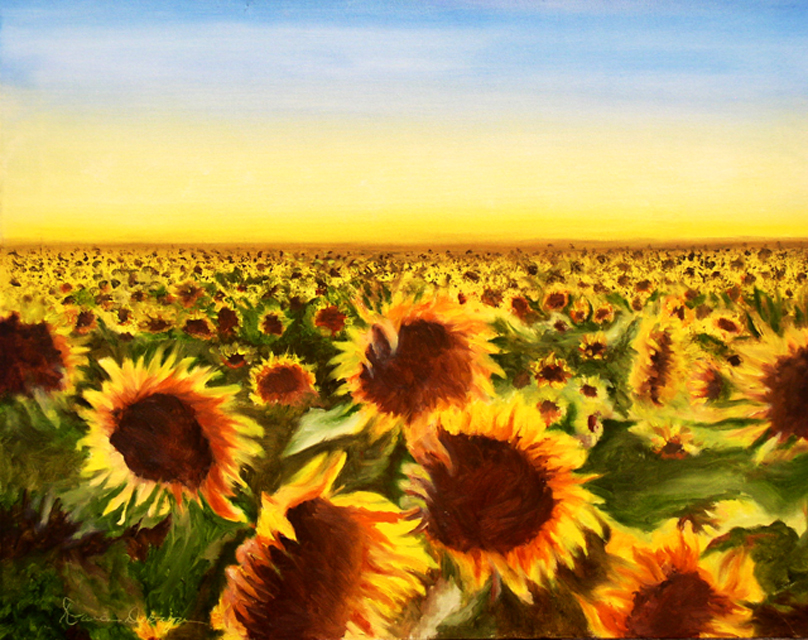 [Sunflower-Fields-ForeverN[1].jpg]