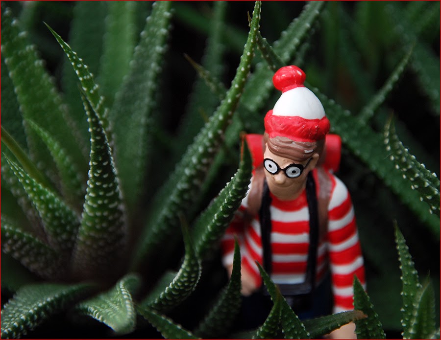 [Where+is+Waldo+sm.jpg]