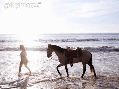[cavalo+na+praia.jpg]