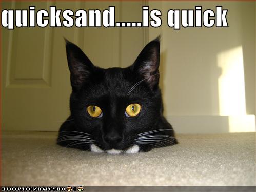 [funny-pictures-cat-in-quicksand-carpet.jpg]