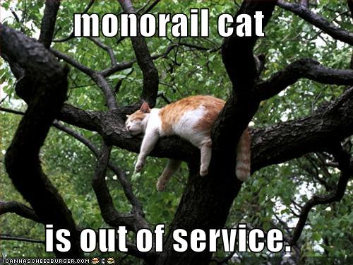 [monorailcat-is-out-of-commission.jpg]