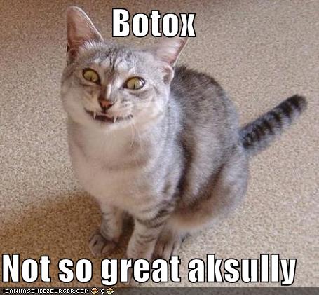 [funny-pictures-botox-cat.jpg]