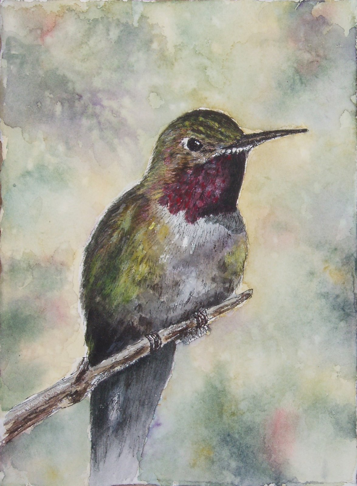 [hummingbird+watercolor+complete.JPG]