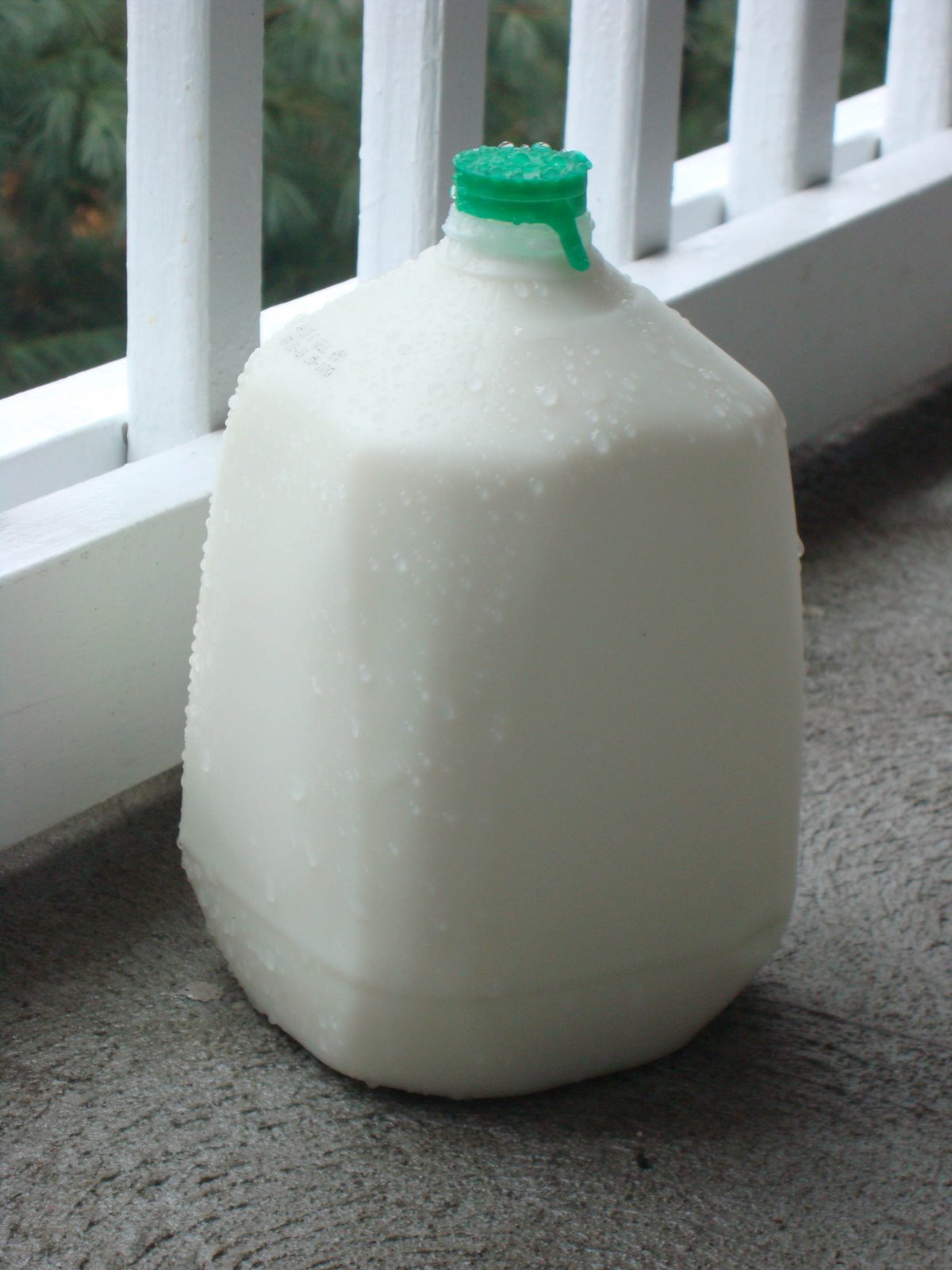 [milk+on+balcony+winter+08.JPG]
