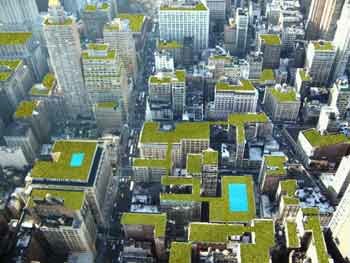 [urban-green-roof_gardens1.jpg]