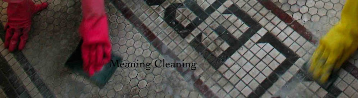 Meaning Cleaning