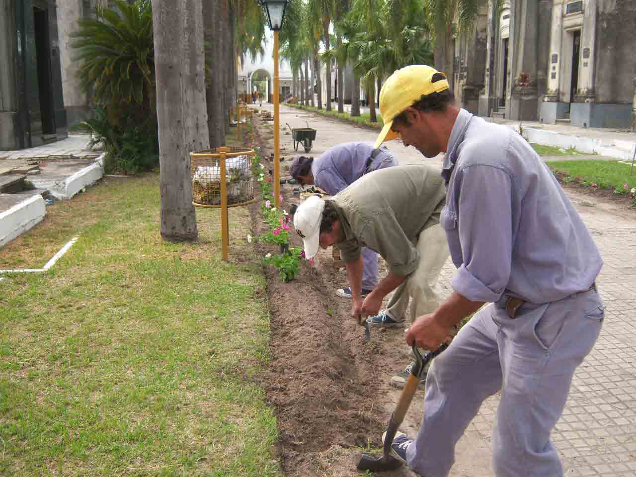 [cementerio+La+Soledad-+personal+municipal+realizo+trabajos+de+mejoras+y+mantenimiento.jpg]