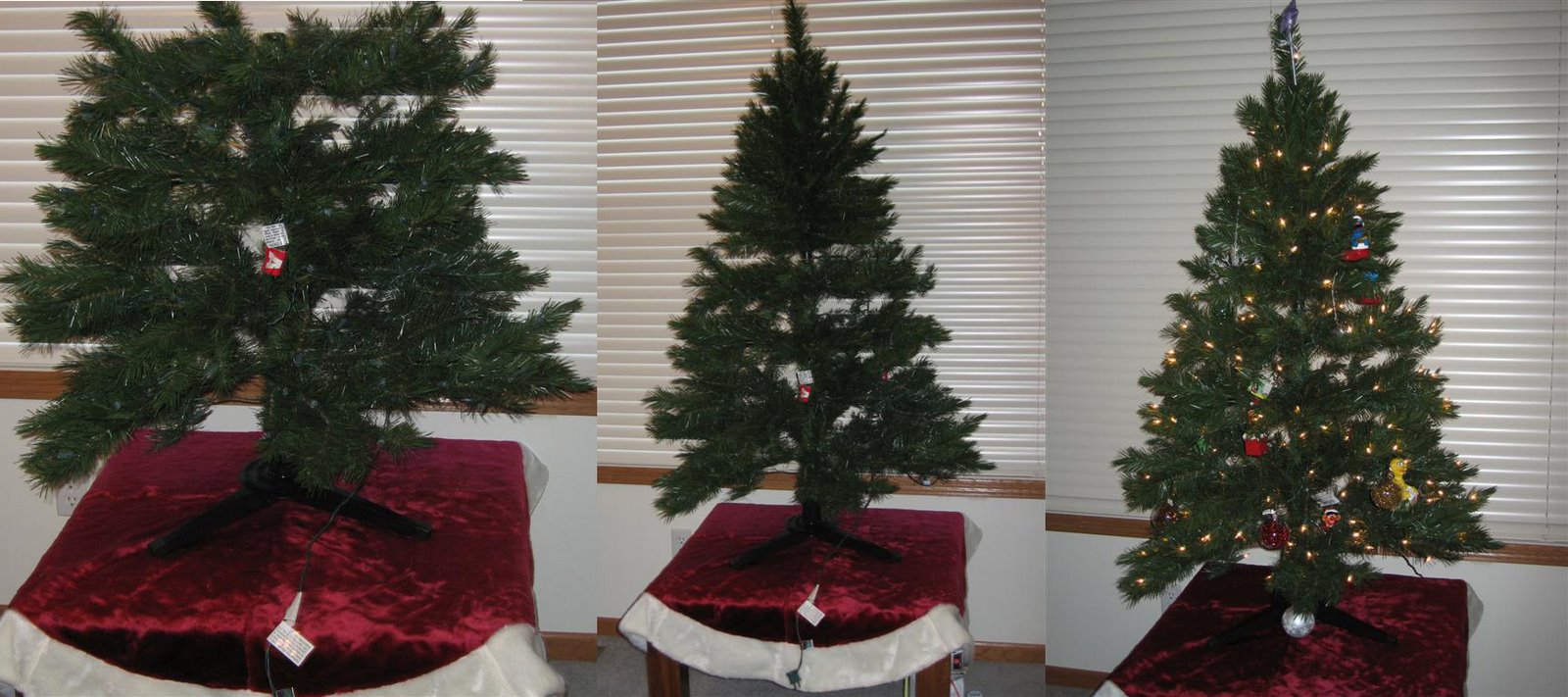 [Christmas+Tree+2006+2.jpg]