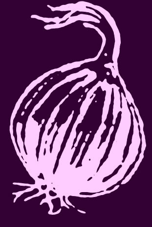 [onion-7b_r2_c1.jpg]