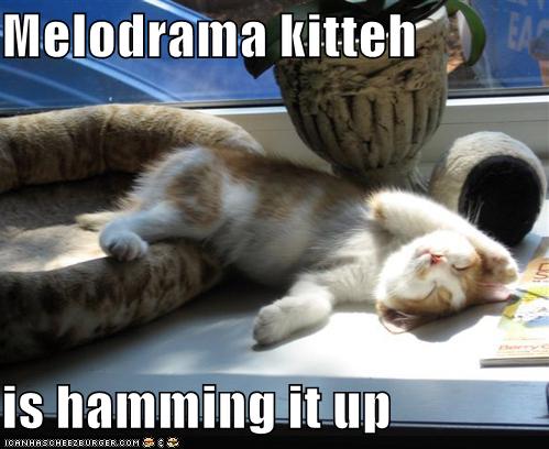 [funny-pictures-melodrama-cat.jpg]