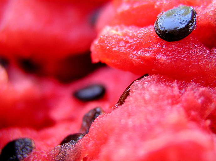 [APR___05___Watermelon_by_holly.jpg]