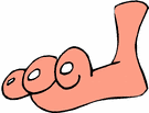 [foot.gif]