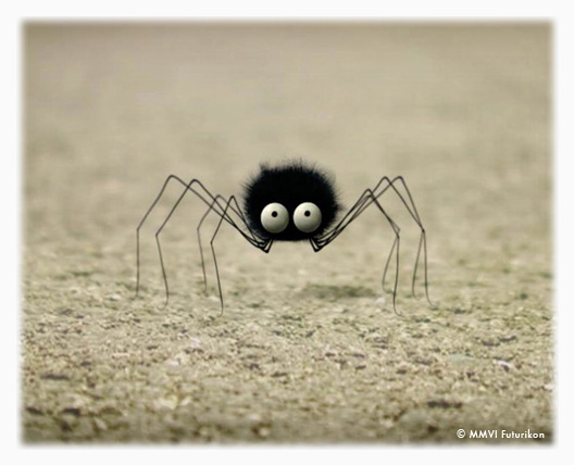 [little-spider.jpg]