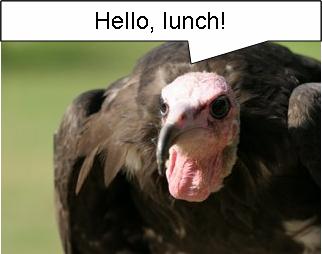 [Hello+Lunch.JPG]