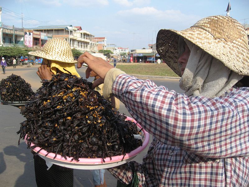 [800px-Fried_tarantula_Cambodia.jpg]