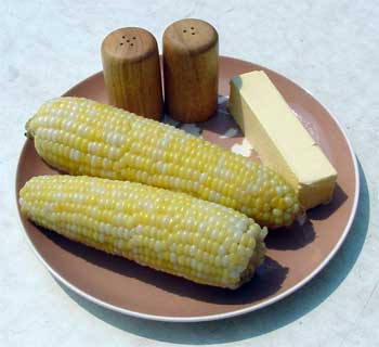 [19-eating-corn-onthe-cob.jpg]