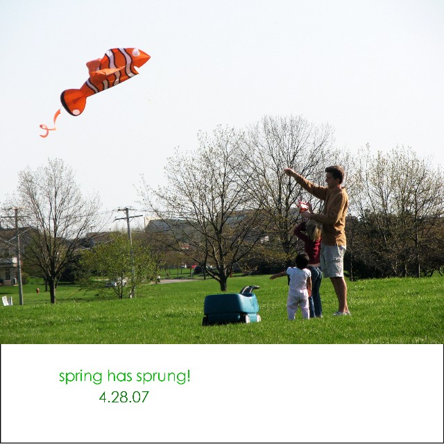 [2007.04.28+kite+flying+Large+Web+view.jpg]