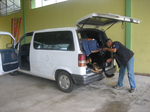 Perro policia registrando la furgoneta en Panama