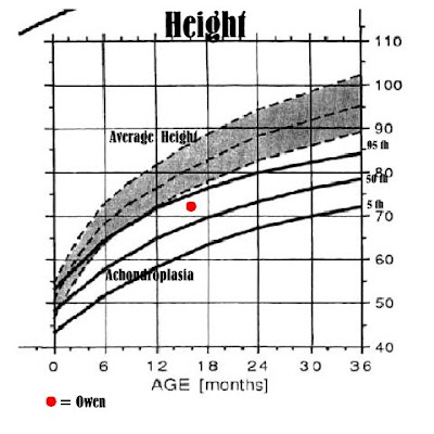 Baby Average Length Chart