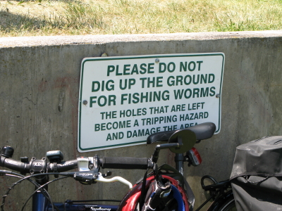 no worms