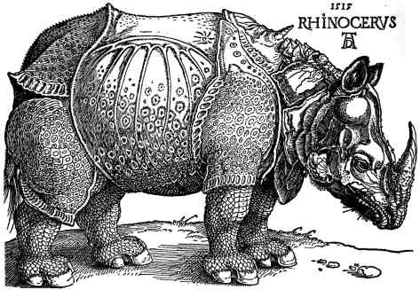 [Dürer_-_Rhinoceros.jpg]