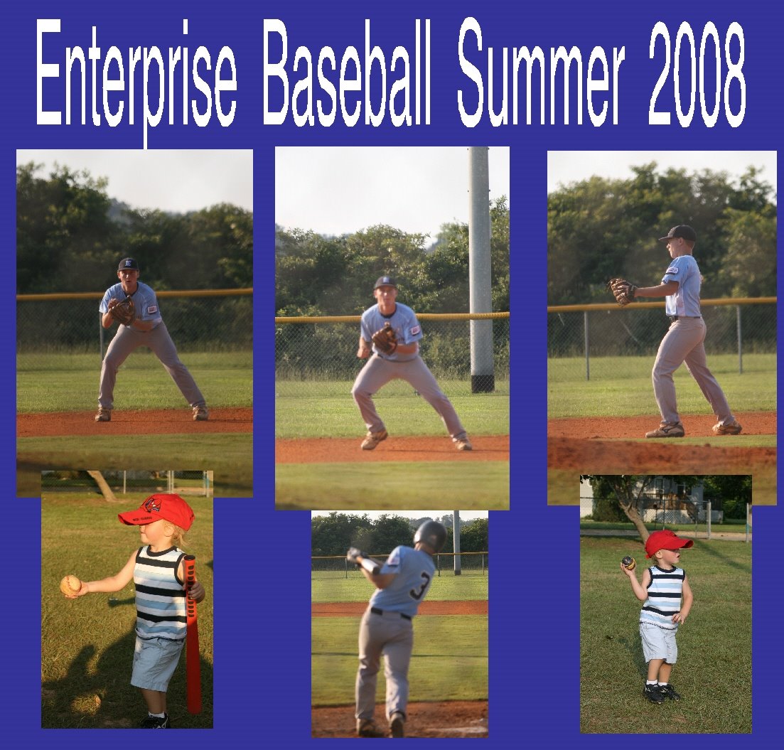 [eprise+baseball+2008.jpg]