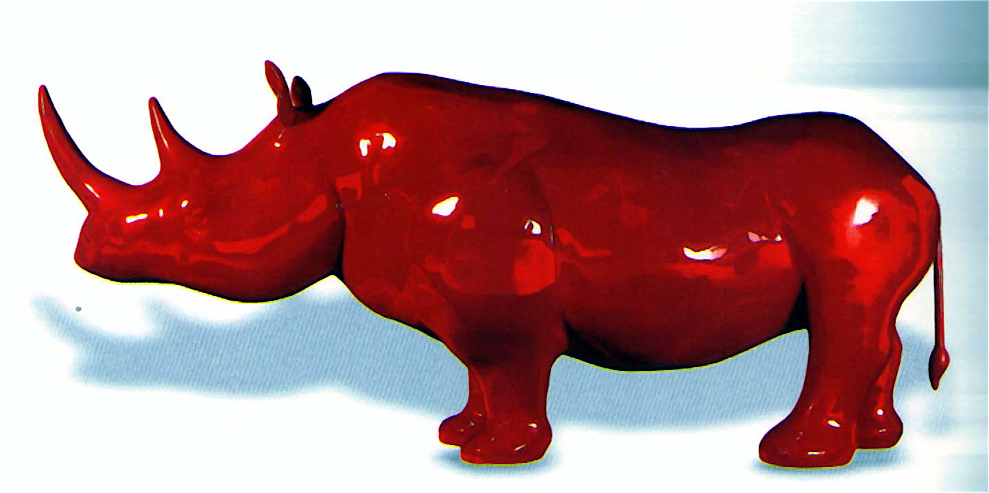 [rhino.jpg]
