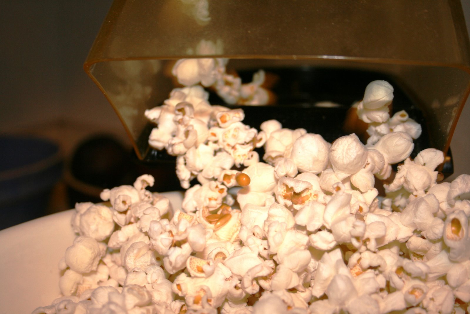 [popcorn+013.jpg]