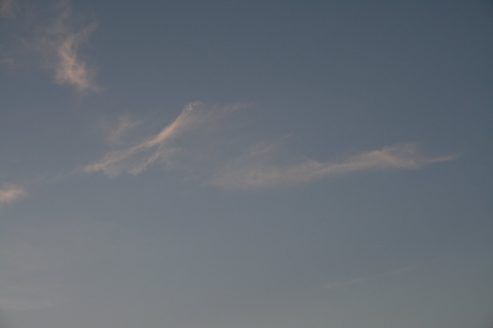[birds+clouds+006.jpg]